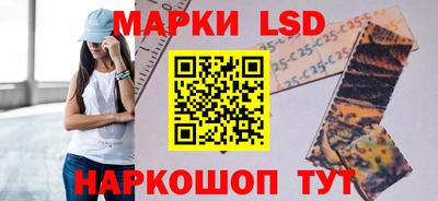 стаф Обнинск