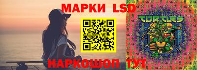 spice Обь
