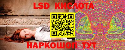 стаф Обнинск