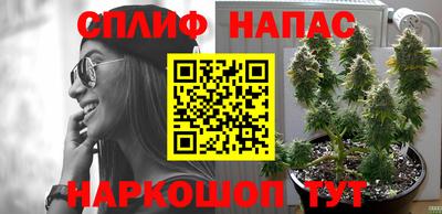стаф Обнинск