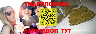 spice Обь
