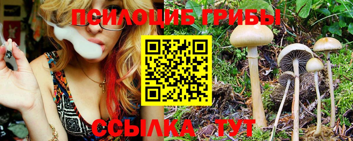 Моршанск  Галлюциногенные грибы Magic Shrooms  Псилоцибиновые грибы мицелий  даркнет сайт  Вход с VPN 
